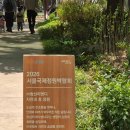 초가정원 | 2026 서울국제정원박람회 후기