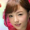 동백바다 이미지