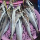 군산건어물수산