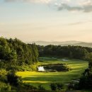 웰링턴컨트리클럽 이미지