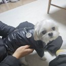 멍 클레어 이미지