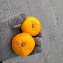 동아아파트경로당 | 인천 만수산 일출 해돋이 명소 등산코스 무장애나눔길 정상 전망대