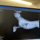 동심동물병원 이미지