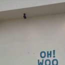 오우집 이미지