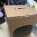 디자인, 촉감, 세탁까지 잡은 라익디스 likethis 스툴과 러그들 (거실 삶의 질 +100)[서울촌놈 후기]