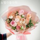 노벨라플라워