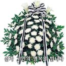 노동초교 이미지