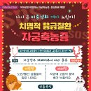 채움동물병원 이미지