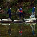 남천1-207 이미지