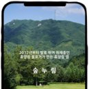 와룡자연휴양림일반야영장 이미지