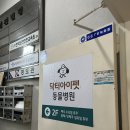 닥터아이펫 동물병원 | 중랑구 동물병원 추천 닥터아이펫 과잉진료 없어서 좋아요