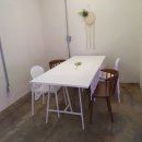 마론애견 이미지