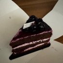 3L[중급] | [중국 교환학생 3] 이제 종강하자