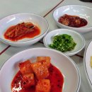 영월역 앞 이미지