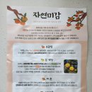 새로운 과일 먹어보기 ; 아삭달달 태추단감