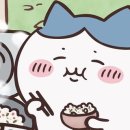 제주갈치명가 이미지