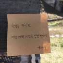 584 이미지