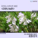 이원농장 | [문화G기] 소곳소곳 김포 겨울 실내 데이트 코스 추천 &lt;이원난농원&gt;