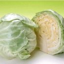 TEAM-K MMA GYM 이미지