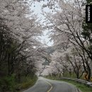 담양참사랑병원