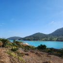 나무향가득펜션 이미지