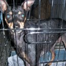 대호동물병원 이미지