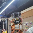 용인대 불당 유도관 이미지