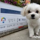 듀듀