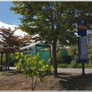 대촌산들길 이미지