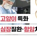 허그동물의료센터 이미지