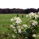 풀내음목장 이미지