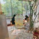 판교 브런치카페 그램 방문기:당근뇨끼·살사치아 파스타 솔직후기