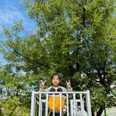 흥해남산초등학교 이미지