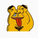 고지리 | 현지인이 낋여주는 케밥맛집 음성 대소 케밥아일랜드