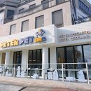 피터펫 논현점 이미지