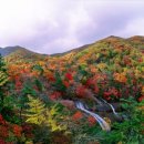 밤머리재홍단풍거리 이미지