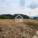 강화114공인중개사사무소 이미지