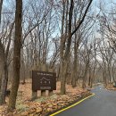 만덕2동 주민센터 내 주차장 | [수락휴] 수락산 동막골 자연휴양림 (16호 트리하우스 별밤) + 코스요리, 숙박 후기!