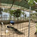 일오공삼 이미지