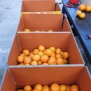 조가물민박 이미지