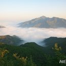 곡성-248 Daum카페