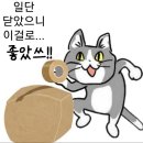 조아쓰