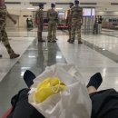 디.델리 이미지