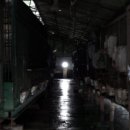 철제농장 이미지