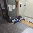 호야켄넬 이미지