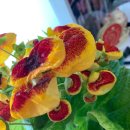 (주)지엔히어링코리아 이미지