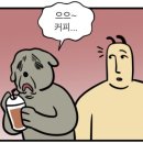 트라바
