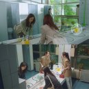 브이워시 이미지