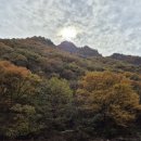 행정사감병기사무소 이미지