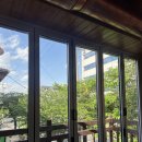 앞산강아지 이미지